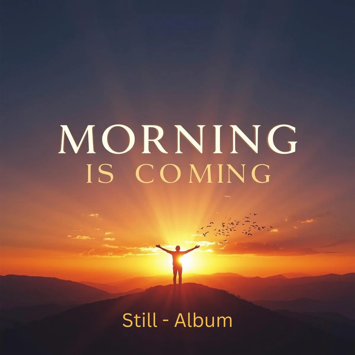 Morning Is Coming album art