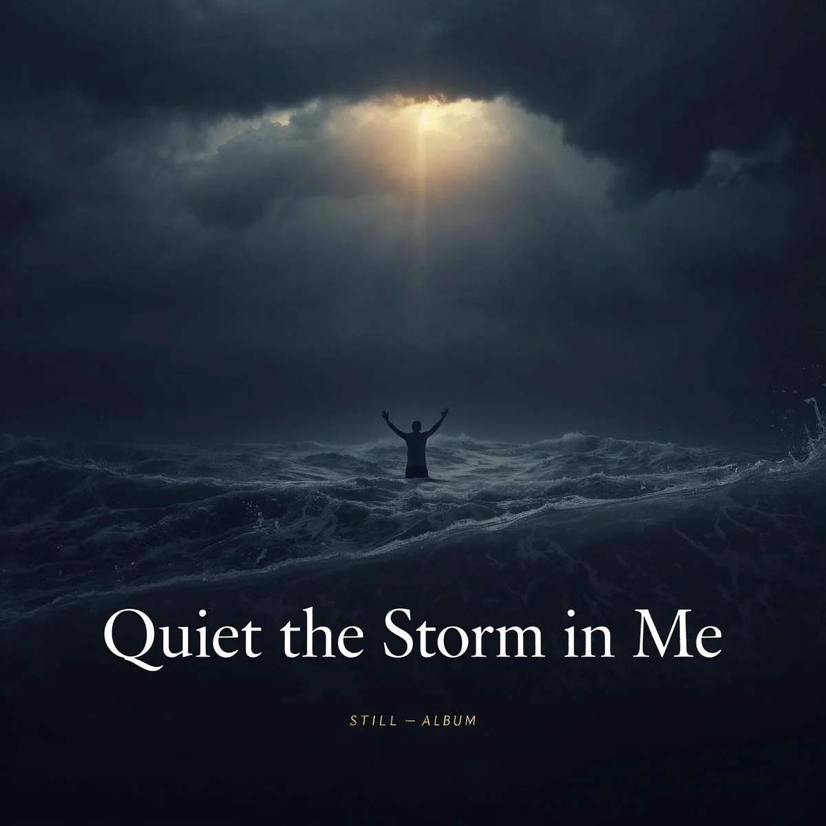 Quiet the Storm in Me album art